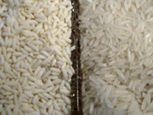Riz gluant et riz blanc