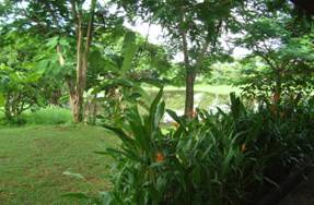 Cammanacom guesthouse d'Etat Paks